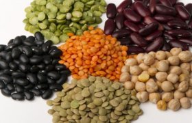 6 thực phẩm đốt mỡ hàng đầu