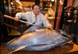Chủ cửa hàng sushi mua con cá ngừ khổng lồ với giá 37.000USD