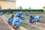 Farm promotion in Truong Sa District