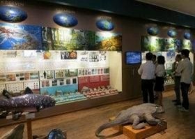 越南拟建国家自然博物馆