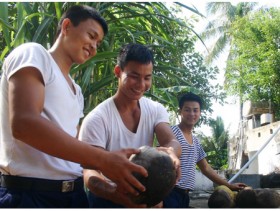 Hiên ngang “đảo dừa”