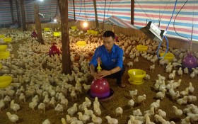 “Mong muốn góp sức trẻ làm giàu quê hương…
