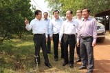 Former State President Nguyen Minh Triet visits North Tan Uyen district