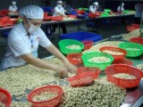 Vietnam, Nigeria to boost cashew trade