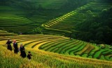 越南进入英国旅游杂志《Wanderlust》2015年旅游排名榜