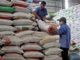 Hỗ trợ cứu đói gần 7.300 tấn gạo cho 12 tỉnh trước Tết Nguyên đán