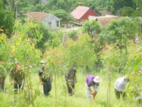 越南努力保护与可从持续利用生物多样性
