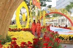 胡志明市2015乙未年迎春花卉节丰富多彩