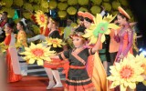 Flower street festival opens in HCM City