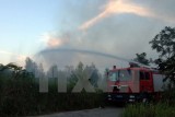 Lào Cai kịp thời dập tắt đám cháy bên Vườn Quốc gia Hoàng Liên