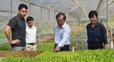 Vietnam eager to attract Japanese investment in agricultural projects