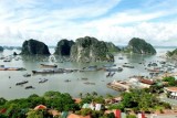大力发挥越南遗产价值来吸引游客