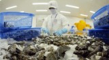 美商务部初裁对越虾类产品征收反倾销税