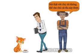 Tài kinh doanh của bác nông dân