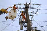 Electric sector hopes to receive sharing of clients