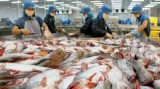 Brazil resumes import of Vietnamese seafood