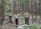 Kon Tum sử dụng hơn 123 tỷ đồng chi trả dịch vụ môi trường rừng