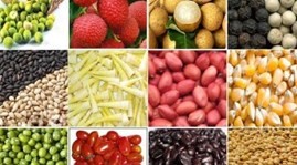 Tariffs to go on hundreds of Vietnam farm products by 2018