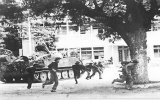 Ngày 15-4-1975: Ác liệt mặt trận Phan Rang, Xuân Lộc