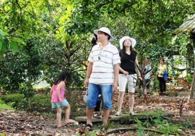 Du lịch sinh thái: Nỗ lực phát triển