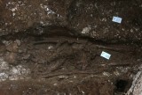 Three 5,000-year skeletons unearthed in central Vietnam