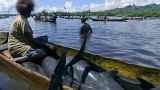 Cảnh báo về nạn giết cá heo để lấy răng ở đảo quốc Solomon
