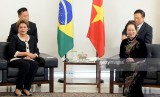 Brazil desirous of expanding cooperation with Vietnam