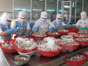 Doanh nghiệp vừa và nhỏ được vay lãi suất ưu đãi từ 6,2%/năm