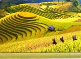 越南跻身全球最便宜的十处旅游目的地名单