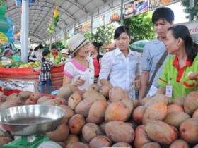 2015年南部水果节吸引数万名游客参加