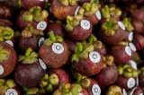 Enhancing the brand name of Lai Thieu mangosteen