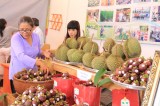 Good preparation for “Lai Thieu in ripe fruit season 2015” festival