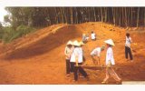 Di tích khảo cổ học Dốc Chùa: Di tích cư trú và mộ táng nổi tiếng