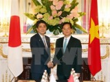 Vietnamese, Japanese PMs talks ways to promote ties