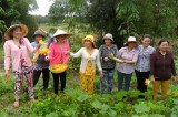 Mô hình kinh tế sạch tại huyện Phú Giáo: Hiệu quả từ 30.000 đồng