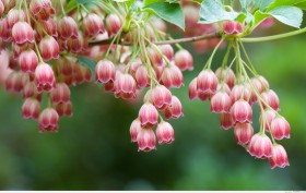 Hãy cho nhau một cơ hội để giãi bày!