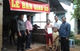 Hội Chữ thập đỏ thị xã Tân Uyên: Trao bò cho hộ nghèo, khó khăn