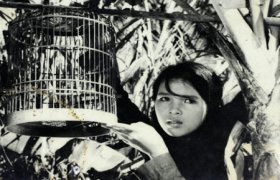 众多越南著名电影将在巴拉圭放映
