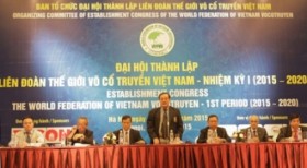 越南传统武术世界联合会在河内正式亮相