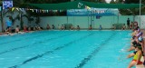 Câu lạc bộ TDTT Hoàng Minh - Hồ bơi Mỹ Phước (TX.Bến Cát): Tổ chức thi bơi cho học sinh