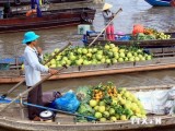 Mekong Delta region boosts tourism products