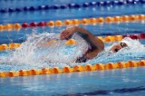 Ánh Viên đoạt HCB 400m hỗn hợp tại World Cup bơi lội