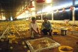 Phú Giáo: Phát triển mạnh nông nghiệp công nghệ cao