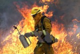 Mỹ điều 13.000 lính cứu hỏa kiểm soát đám cháy 48.000ha rừng