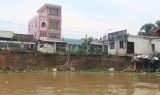 Cần sớm khắc phục tình trạng sạt lở ven sông Đồng Nai
