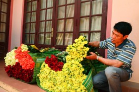 Thu hàng trăm triệu đồng từ vườn hồng công nghệ cao