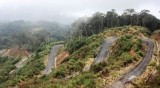 Cable car greenlighted for Vietnam’s nature reserve