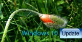 Làm thế nào để ngăn Microsoft tự động tải cập nhật Windows 10?