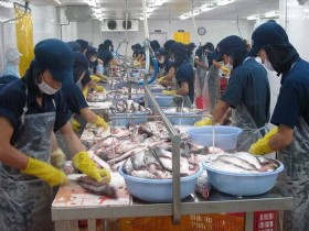 Doanh nghiệp Bỉ gặp thuận lợi khi triển khai dự án tại Việt Nam