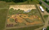 Tái hiện tranh Van Gogh trên cả một cánh đồng